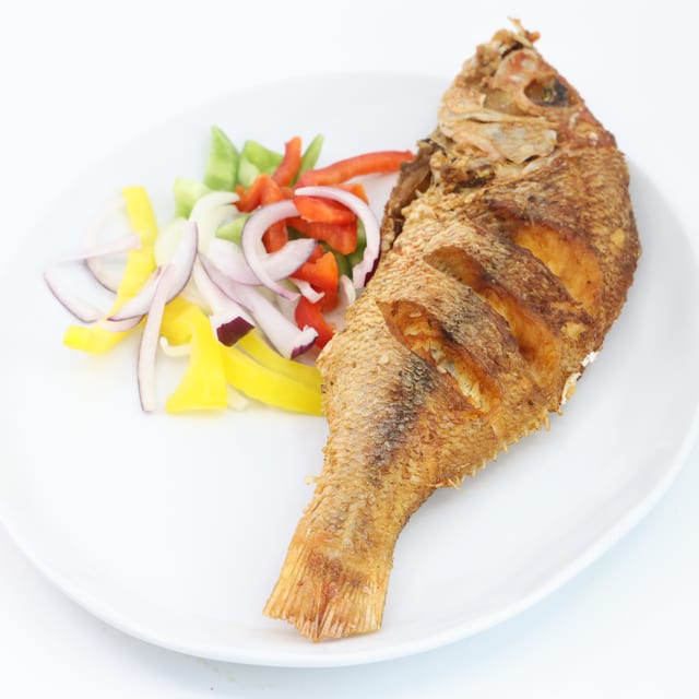 Red Snapper (Md).