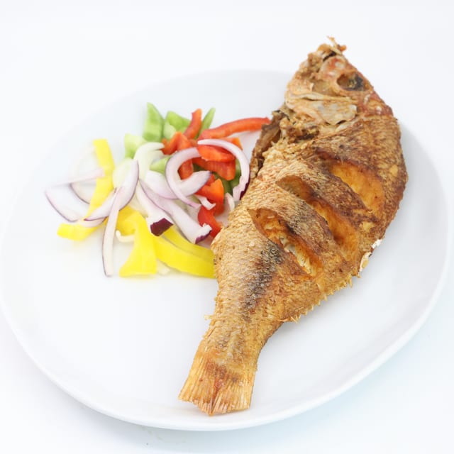 Red Snapper (XL).